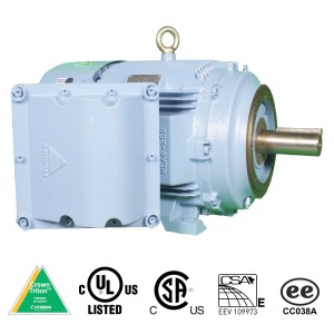 Hyundai Electric Explosion Proof Motor C Face
